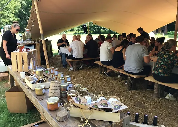 Domaine Du Moulin Hotel *